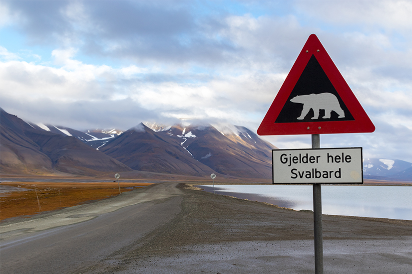 image Norvege Svalbard panneau avertissement ours as_175526383